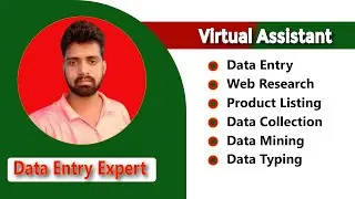 Data Entry & Virtual Assistant Work