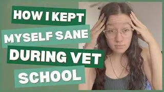 How I Stay Sane in Vet School (Most Days) | Real Self-Care Tips