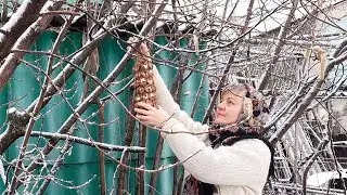 Unhurried winter life. Cooking a simple rustic lunch