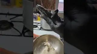 Chicken foot and chicken neck soup 