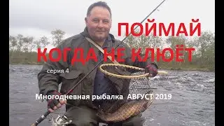 Многодневная РЫБАЛКА. Если долго мучиться / Multi-day FISHING. No fish, but we catch (part 4)