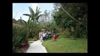Coffee Tour Costa Rica