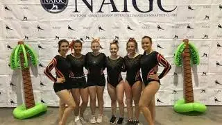 ScaleFunder Gymnastics