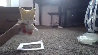 Tails no no scrare