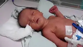 MOV04030