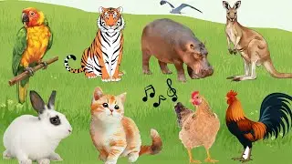 👶🔊 Bé Khám Phá Tiếng Kêu Các Con Vật Quen Thuộc:🐓 Gà Trống | 🦁 Sư Tử | 🐘 Voi |  Bé Học Nói (4K) ✨📺