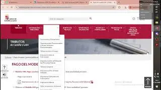 Pago de las tasas (modelo 046) para el proceso selectivo de Profesores en Castilla y Le&oacute;n 2026.