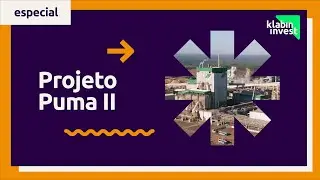 Puma II: o maior investimento da hist&oacute;ria da Klabin