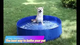 DOG SWIMMING POOL - The Best Bath/Swimming pool for your pet
