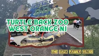 TURTLE BACK ZOO ESSEX COUNTY WEST ORANGE NJ|| GOOD PLACE TO SPEND A DAY FOR EVERYONE|| PICNIC TIME