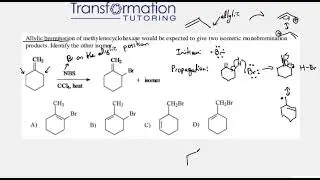 Identify The Products Of The Allylic Bromination Of Methylenecyclohexane (radical resonance)