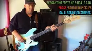 Bergantino Forte HP & HG412 - Parts P-Bass - Galli RSB 45105 Strings