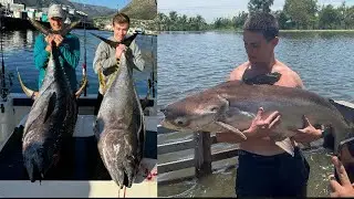 Epic Fishing Compilation 2025 &ndash; Giant Tuna, Sharks, Catfish & Monster Stingray!