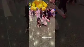 Famous Dog Has Photo Queue in Doha Airport 🇶🇦
