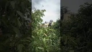 До или после? Какой вариант лучше? Напишите в комментариях 😊