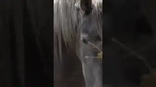 No Demano M&eacute;s 17/09