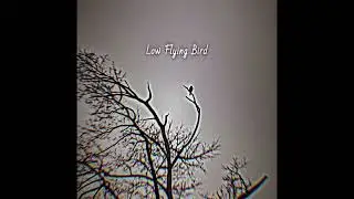 Godspeed Xeno - Low Flying Bird