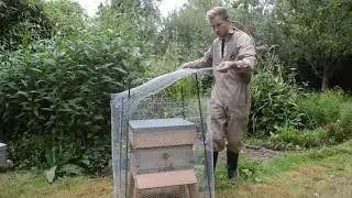 Beekeeping Guide: How To Prepare Your Hive For Winter Part  2 | Protect From Mice & Birds
