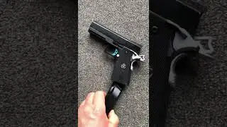 🇬🇧Airsoft WA Strayer-Voigt Infinity