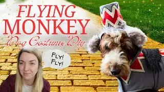 I Sewed My Dog a Flying Monkey Halloween Costume