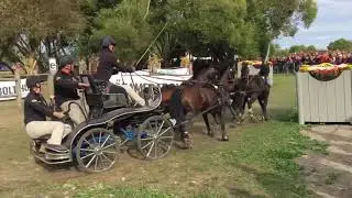 Pierre-Manuel Brasseur Championnat du monde poneys 2019