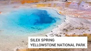 Watching the Silex Spring in Yellowstone National Park - Wyoming