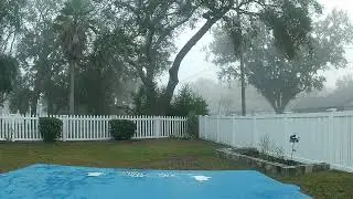 Foggy Day In Florida(Uplifting Music)