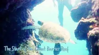 Fraser Coast - Where Nature Comes Alive