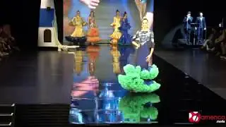Video colecci&oacute;n 