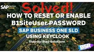 How to Reset B1SiteUser Password in SAP Business One SLD || How to Enable B1SiteUser using Keycloak