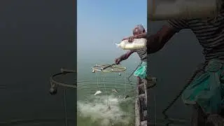 River Fishing Secret Method with Hook Traps 10 #fishing #fishinglife