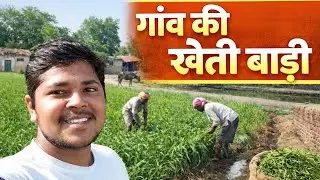 Vlog-4 #minivlog #lakhimpurkheri #villagevlog #viral #shortsvideo #fullvlogs 🌿🌴🌾🌾