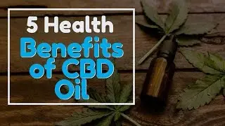 What CBD Oil Is Best For Diabetes? | 5 Health Perks of CBD Oil