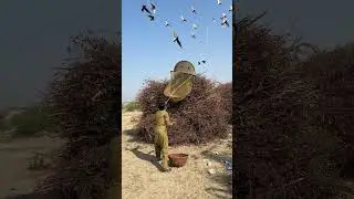 Яйцо вороны 🪺🪺😱 для #охоты Экстремальные навыки охоты на природе | Чистая и этичная охота 😱