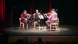 Turtle Island String Quartet - 