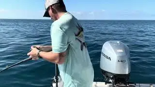 Little pole, Big fish