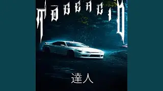 Tōge Acid 達人 (Slowed)