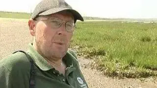Spotlight On Spurn (Excerpts)