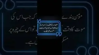 Momin bandy ki nishani#religion#life#dailyquotes#trending#lifequotesgram #inspirationalquotes #lines