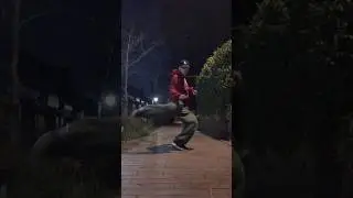 BoyWithUke - Stranger - dance cover choreography by Kiriki