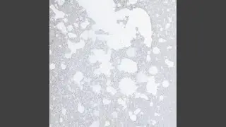 Melting (Original Mix)