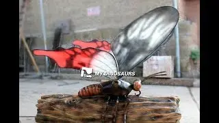 Giant Insects Moving Butterfly