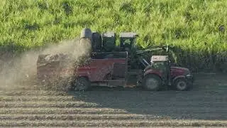The Harvest Childers: Trains and Harvesters 2024