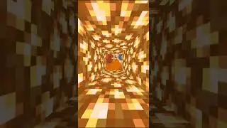 Minecraft 1.16.5 best seed ever #minecraft #seed #minecraft