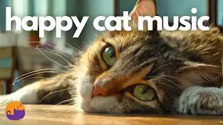 Enrichment Music for Cats 🐱 Daily Anxiety and Stress Relief 🍃❤️&zwj;🩹
