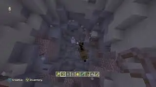 Only the chicken can survive the lead of death