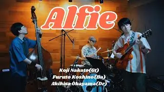Alfie