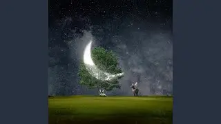 To The Moon