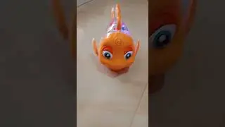 TRANSPARENT GEAR FISH