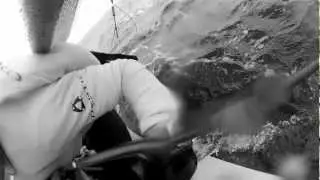Kieler Woche contender 2012
